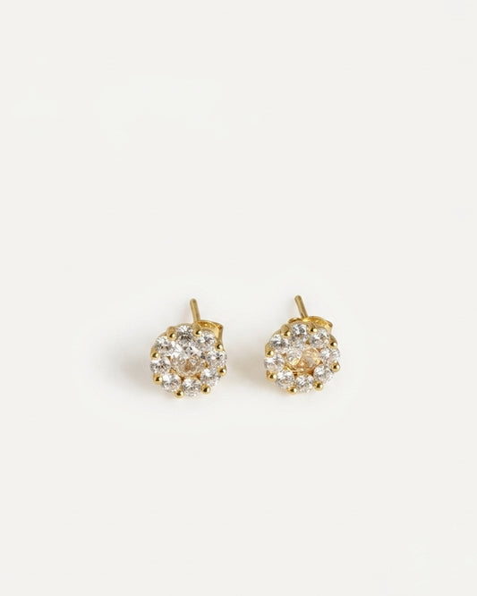 PEHRO 925 Sterling Silver Floral Cluster Stud Earrings